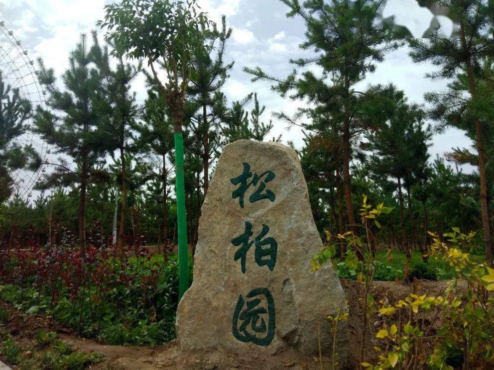 武威核桃园大变身新面貌首次曝光