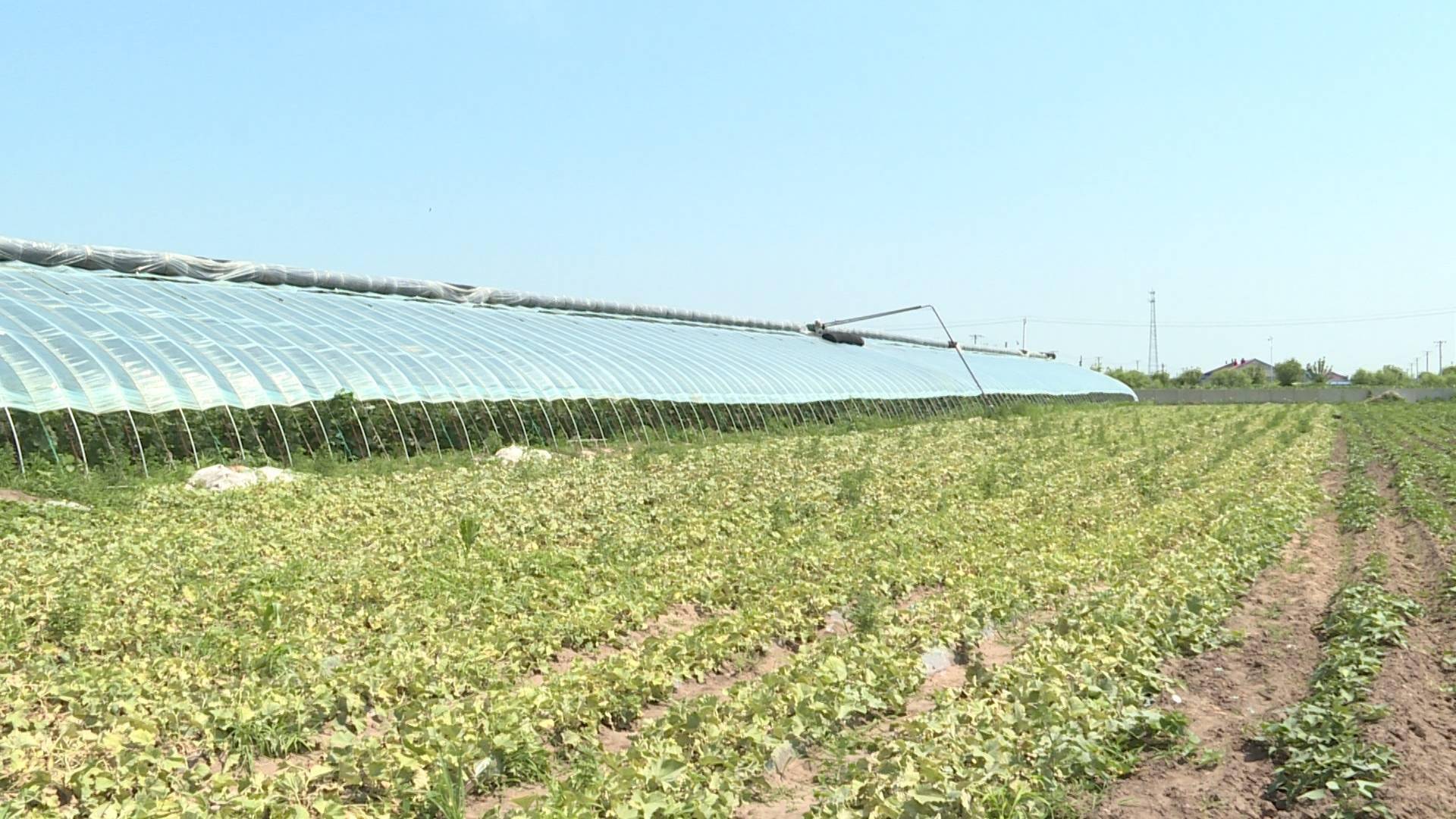 走向我们的幸福生活:十屋镇:办好惠民实事助力全民小康