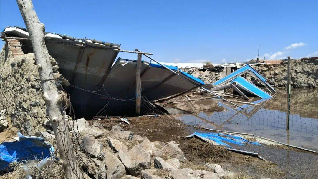 截至目前,锡林郭勒白音锡勒牧场还在对受灾地区采取有效措施,尽快恢复