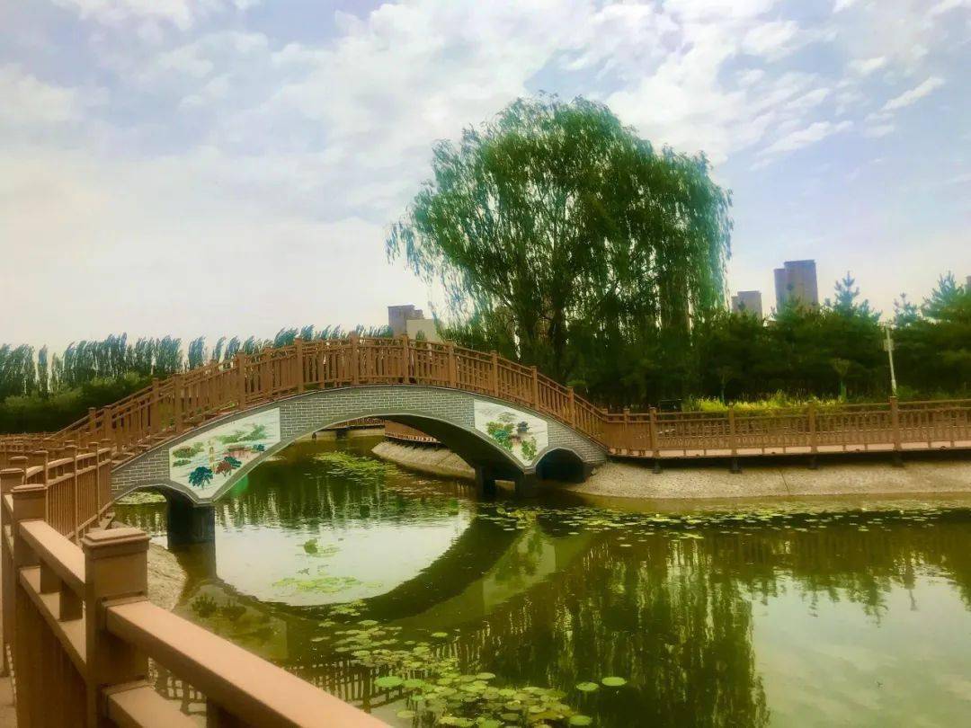 武威核桃园大变身新面貌首次曝光