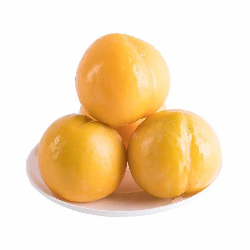 文明有李汝城县2020第三届红色沙洲奈李文化节请您免费吃奈李