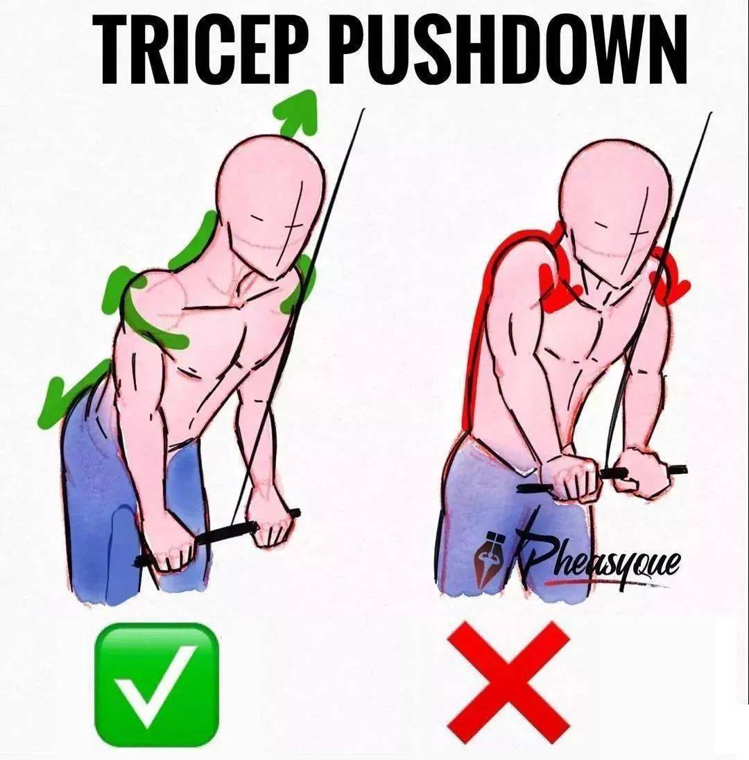 握的太宽会不能完全刺激到背部发力而且高位下拉握距要与肩同宽尽量避