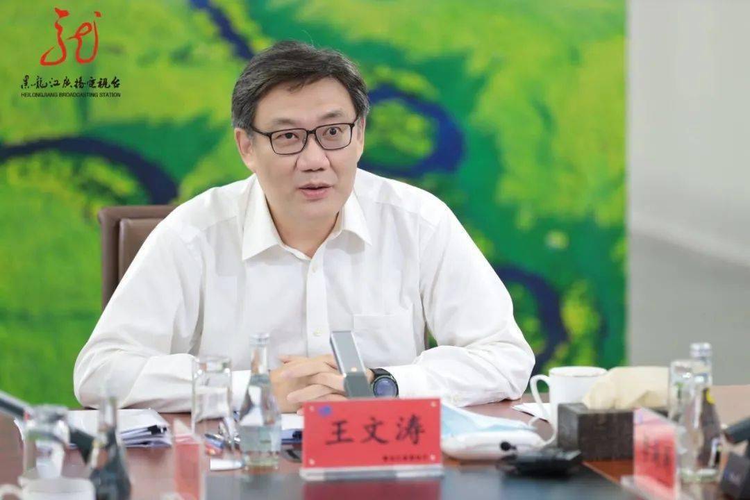 黑龙江省长王图片