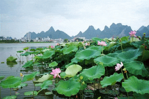 600_400gif 动态图 动图