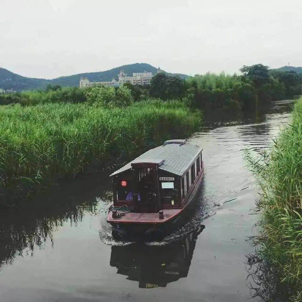 放大招下渚湖溼地風景區邀全國應屆高考生免費遊