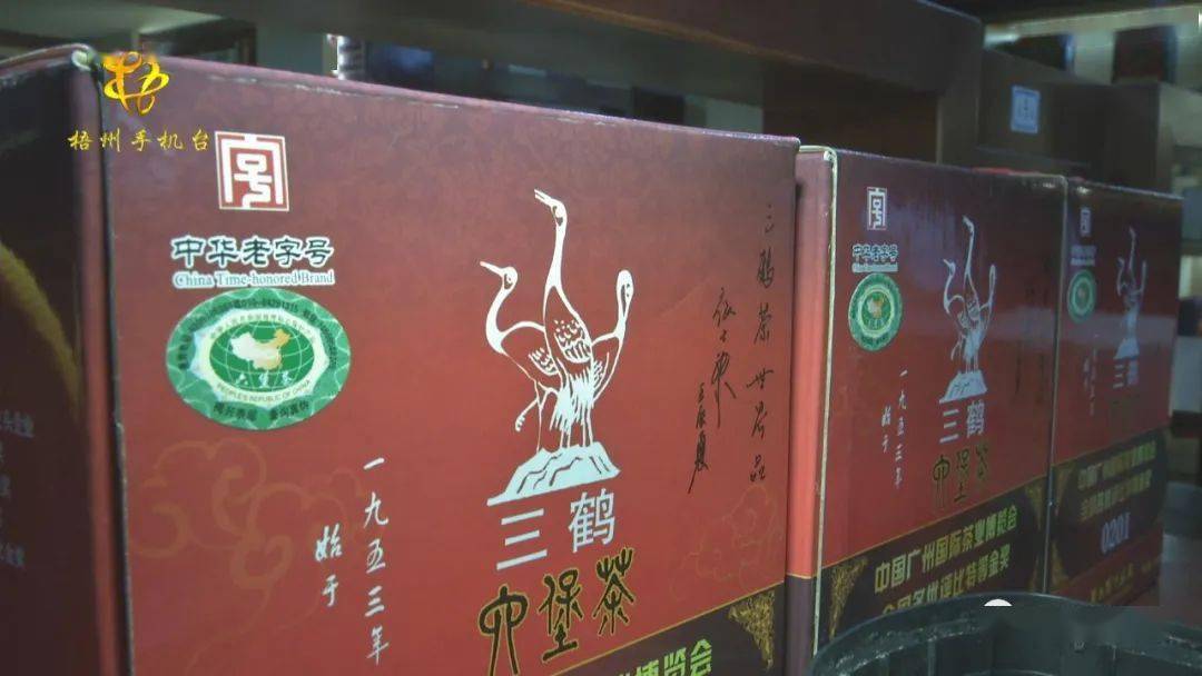 梧州六堡茶地理标志证明商标初步审定