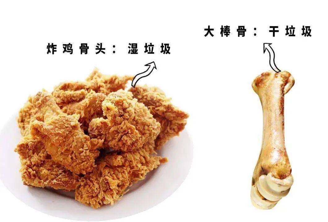 肉骨头属于什么垃圾?03剩下的粽子是厨余垃圾.