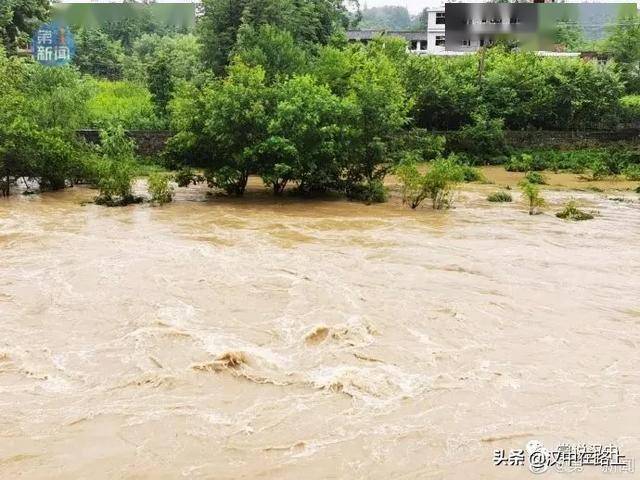 汉中一地遭遇特大暴雨桥树被淹没
