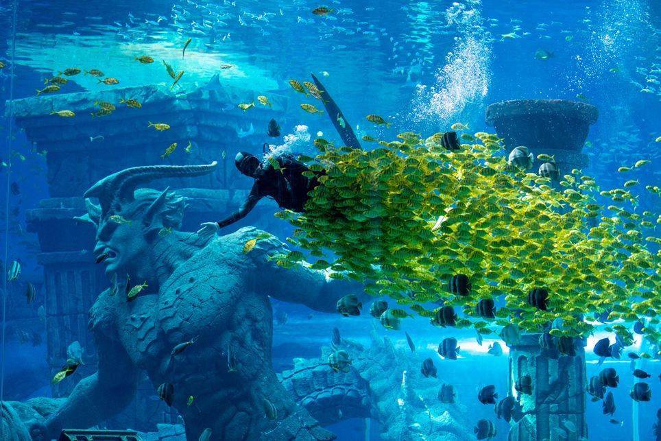 71823哈尔滨融创主题乐园波塞冬沙滩水世界海底世界豪华组合两日游