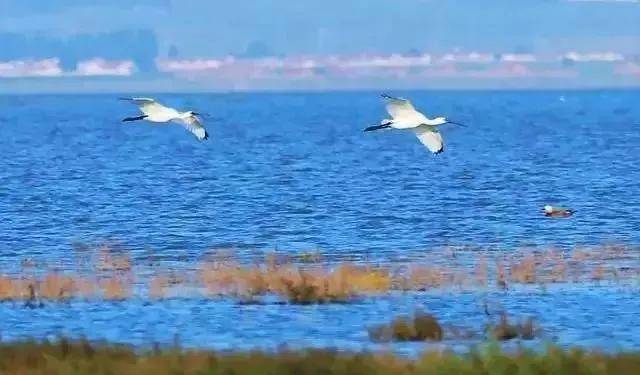 内蒙古的水沝淼17爱上内蒙古团团请你来北疆