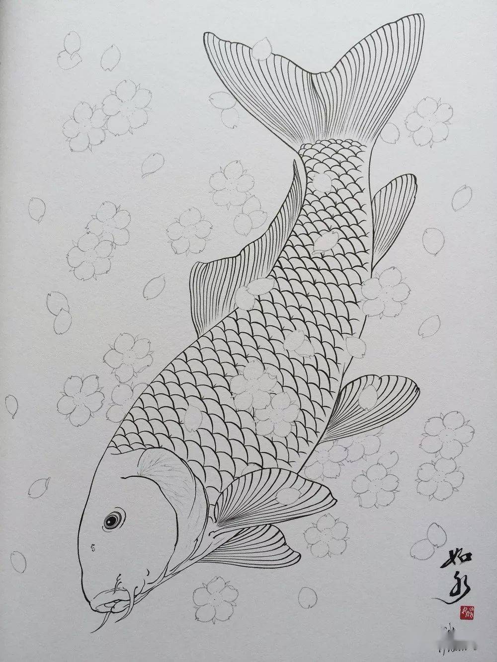 如水《波鲤》白描手稿,画的真棒!