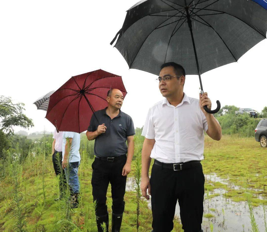 书记区长深入一线察看督导防汛救灾工作
