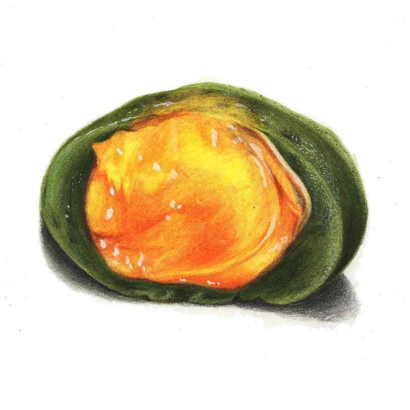 驴大萌彩铅教程345芒果青团手绘美食甜品