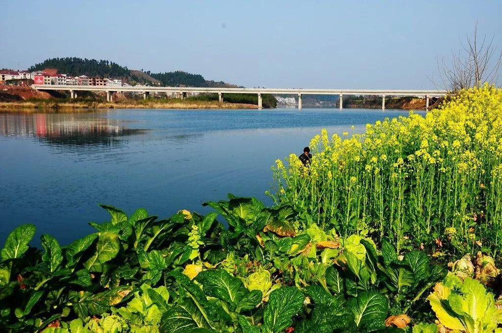 麻阳锦江国家湿地公园徽标由你来设计!