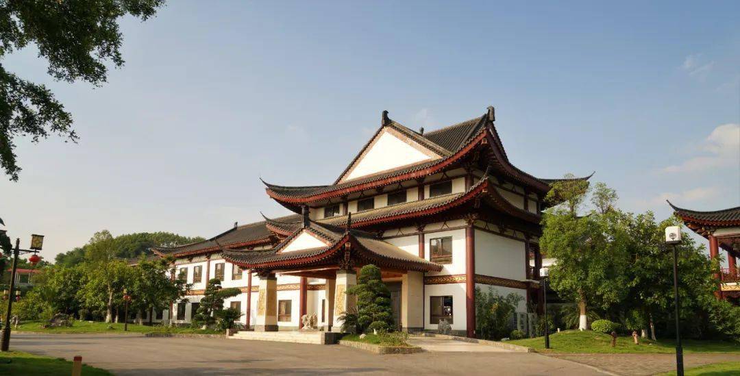 在这里我们的生活充满阳光