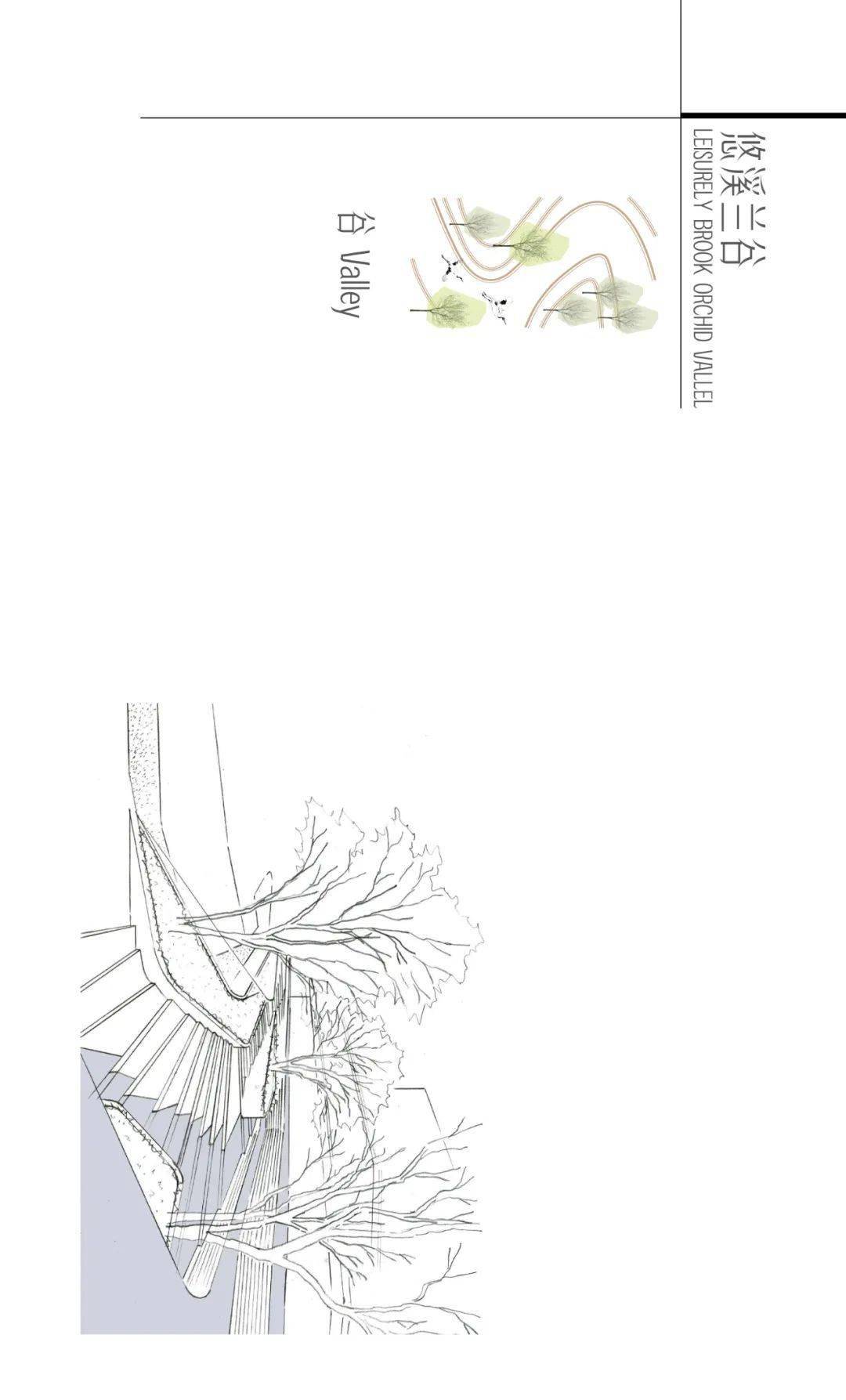 每一个迎风起舞的日子,都是对生命的一种礼赞