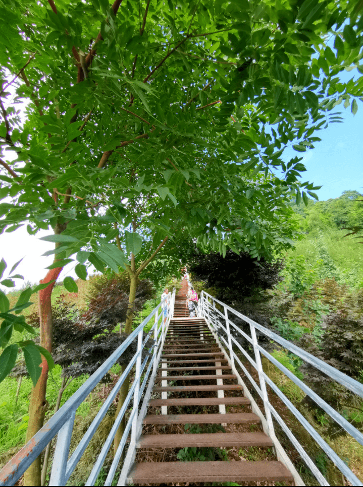 一日游周四柒月麓山休闲娱乐徒步吃鸡