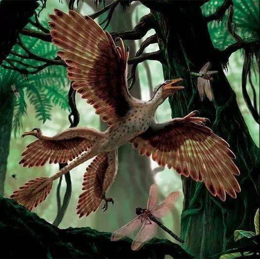 科学恐龙营中国古动物馆与你相约暑期八月不见不散