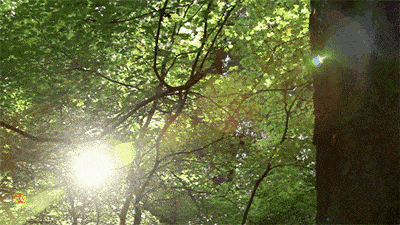 一缕阳光倾泻而出.