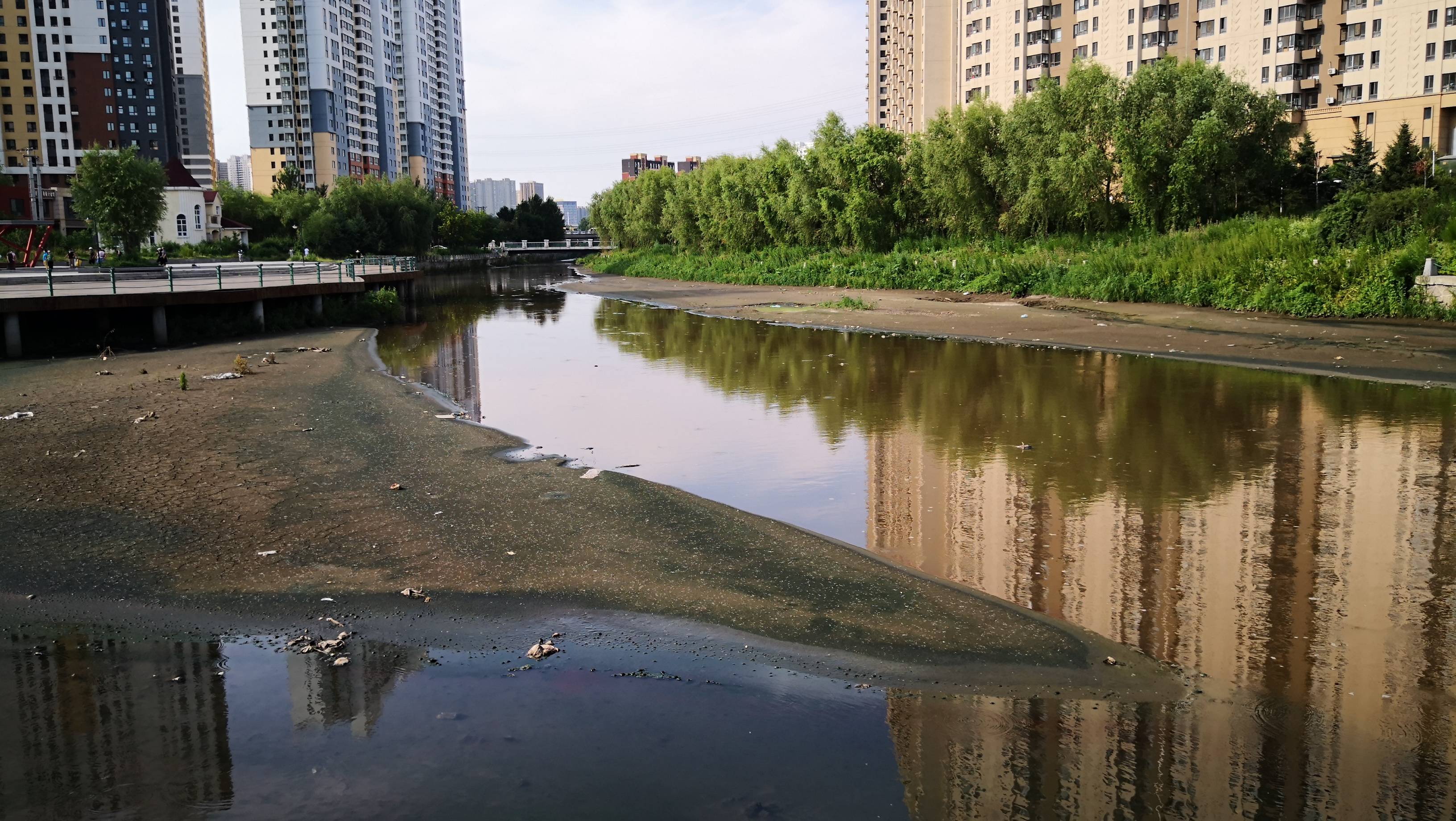 工程"为何出现大面积的淤泥 哈尔滨市道里区城乡路附近的何家沟河面上