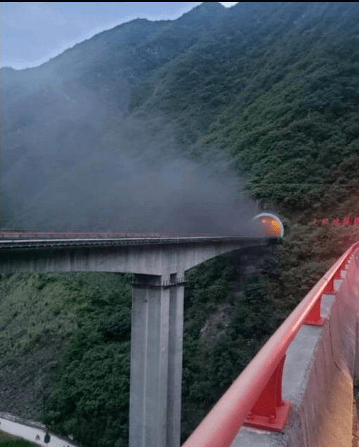 猪在车上被热死,目前该路段仍有25公里拥堵!_镇安