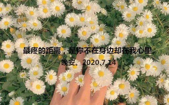 别扭又违心的嫌弃都是我说不出口的喜欢如果你不能陪我到最后就不要