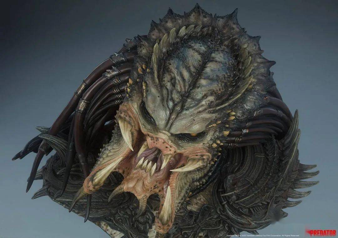 美系sideshow新品铁血战士19寸482mm高胸像