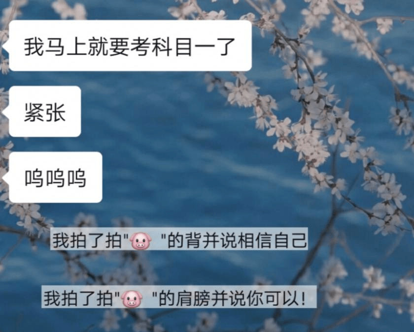 你拍一下我试试看