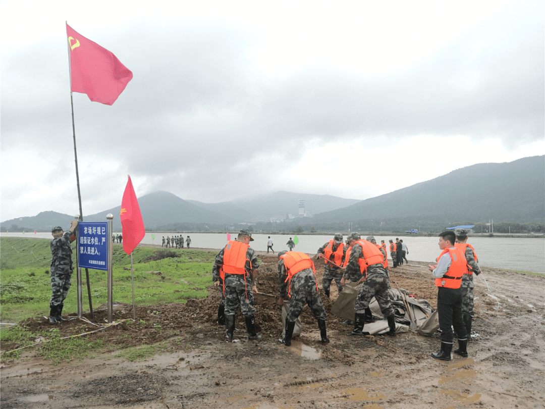 党员冲锋在前让党旗在防汛一线高高飘扬