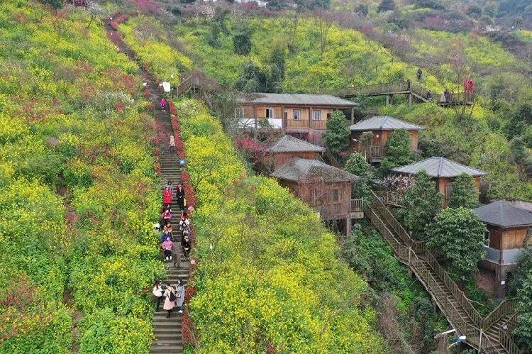 南山桃花园正式开园