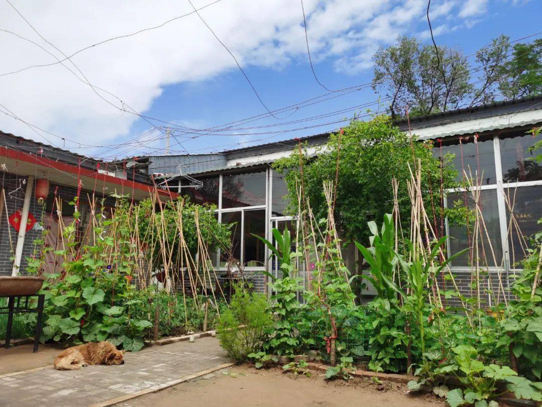 尖草坪区庄头村:拥抱向往的生活