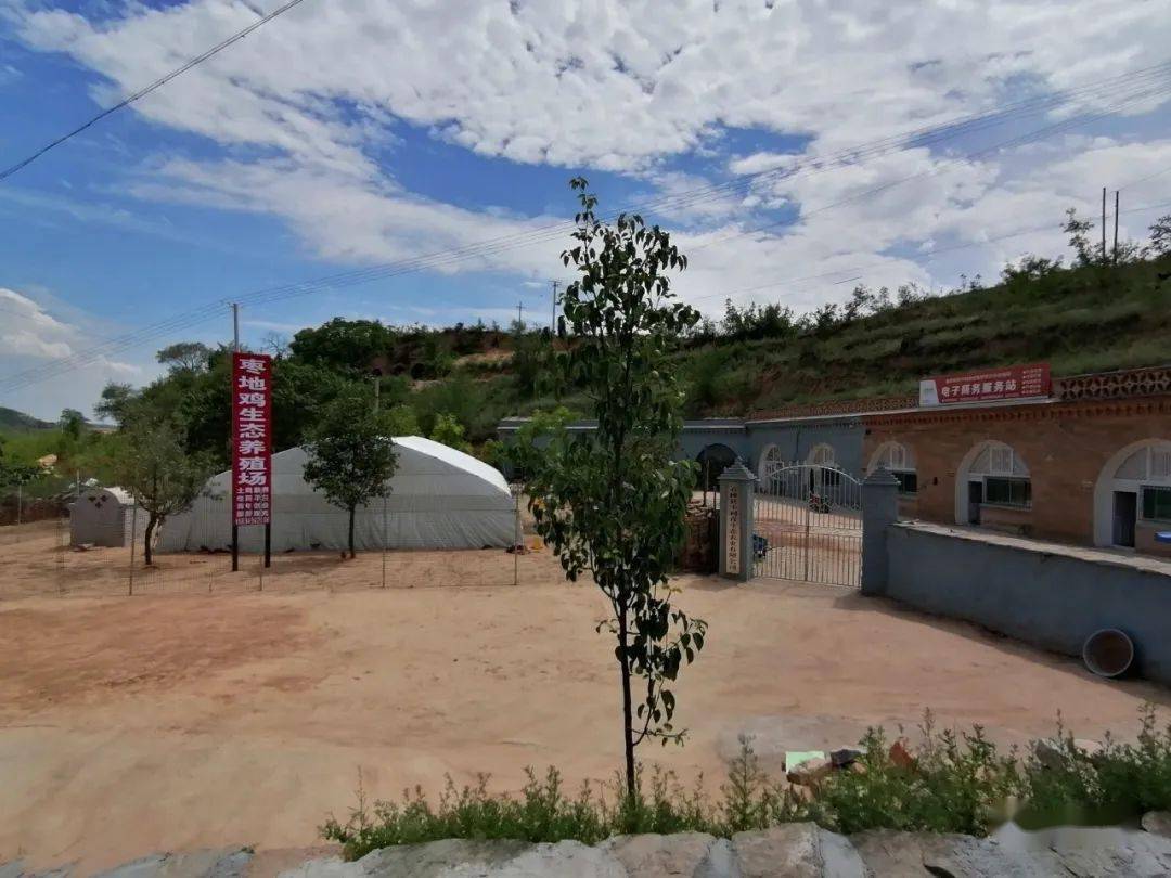微石楼辛关镇霍家村打好产业鸡础助力乡村振兴