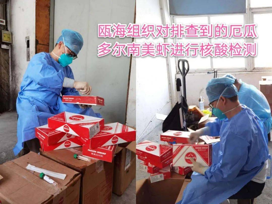 结果出来了温州市场进口厄瓜多尔南美冻虾新冠肺炎病毒检测全部阴性