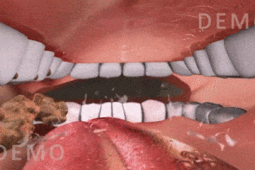 这波科普太有趣了.