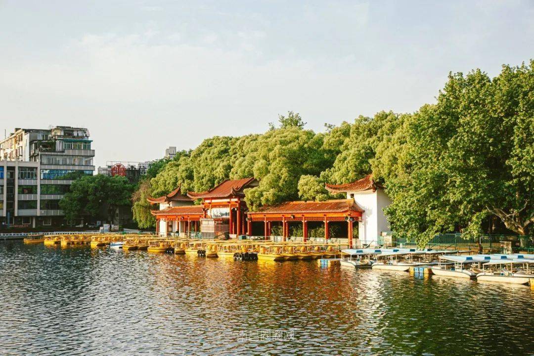 记忆中的八一公园,居然变得这么美!_百花洲