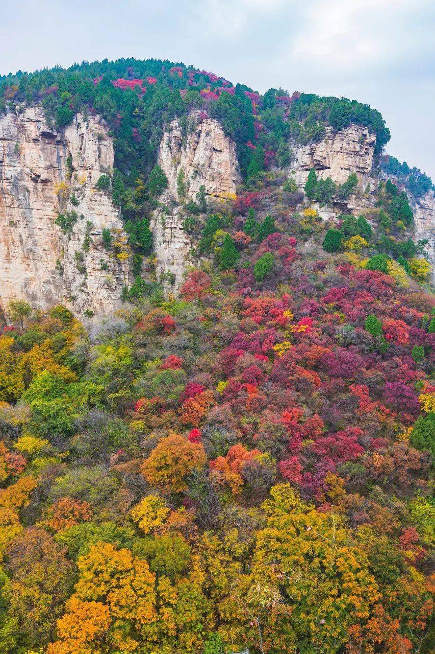 被青岛风头掩盖,却是央视力荐的美好生活城市,山东这座老城,安逸到不