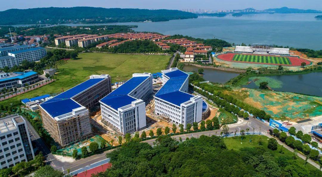 十三五以来基建狂魔上线带你看看理工速度