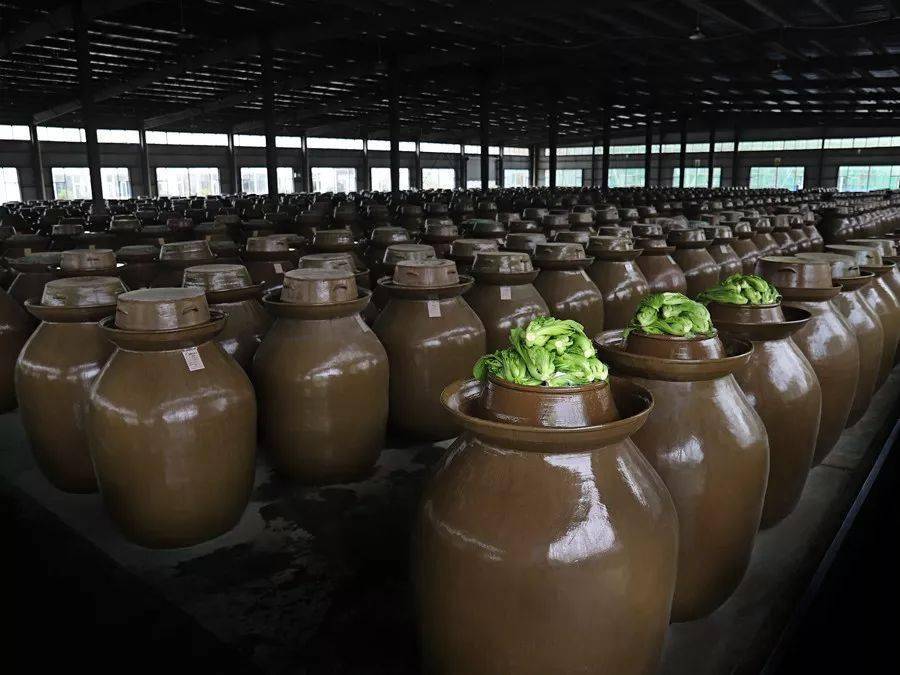 历史传承据说是为了纪念苏东坡,眉山人把腌制的泡菜通称为"东坡泡菜".