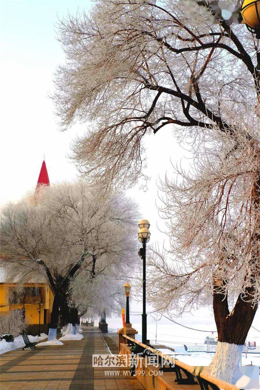 17日最高气温冲击35℃|陡然升温,哈尔滨这半个月是否比往年热很多?