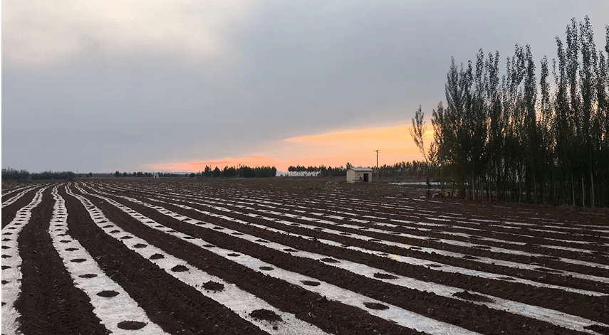 情景模拟及线性 平台模型寻优,得到生物可降解地膜覆盖农田施氮肥252