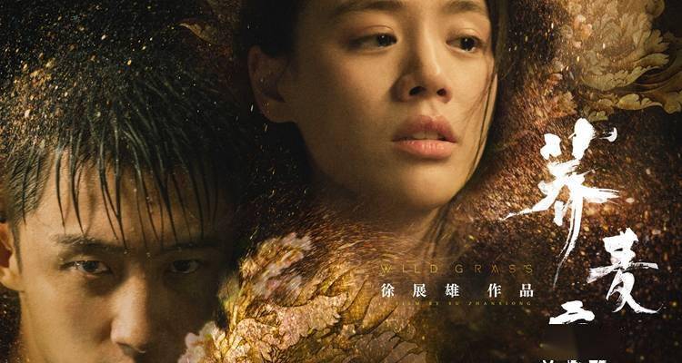 藤井树担任制片人的电影《荞麦疯长》正式发布定档海报