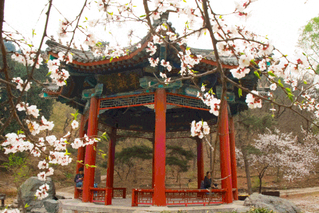 fm966文旅之声踏着诗词去旅行岳飞与池州翠微亭