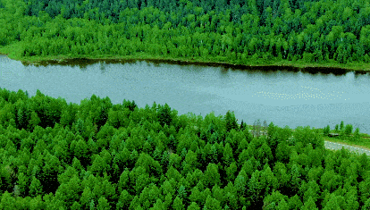 414_235gif 动态图 动图