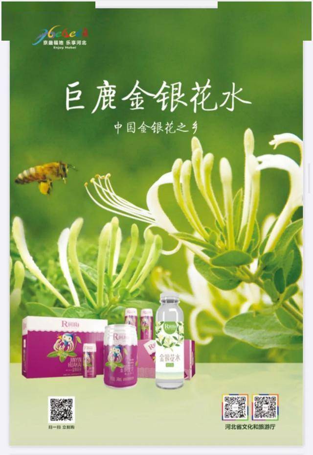 邢台头条巨鹿三宝走进北京西客站