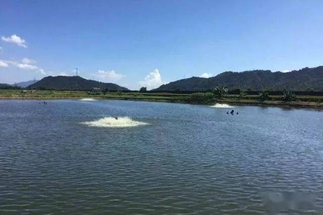 康洁03原创75池塘的氧丰度是水产养殖池塘的生命曲线