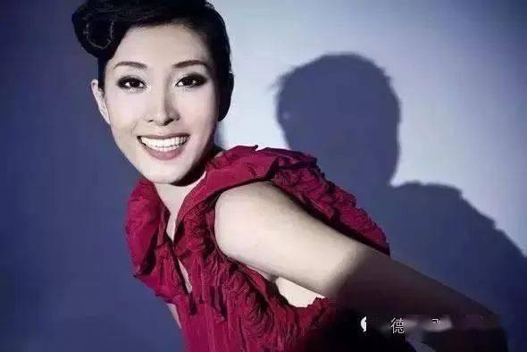 曾任《同一首歌》,美国mtv音乐频道,《mtv天籁村》,《颐中演艺》