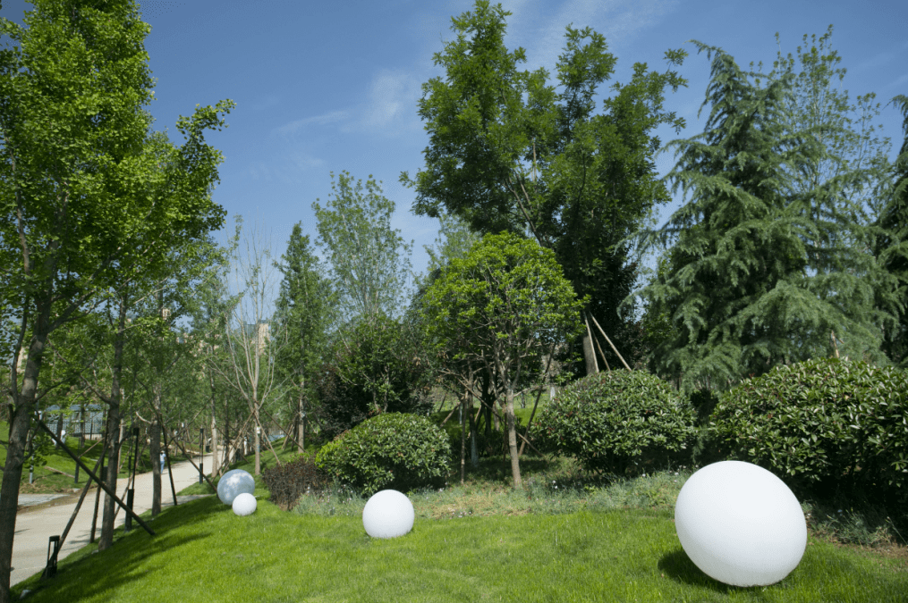 曲江青年公园夏日二三事