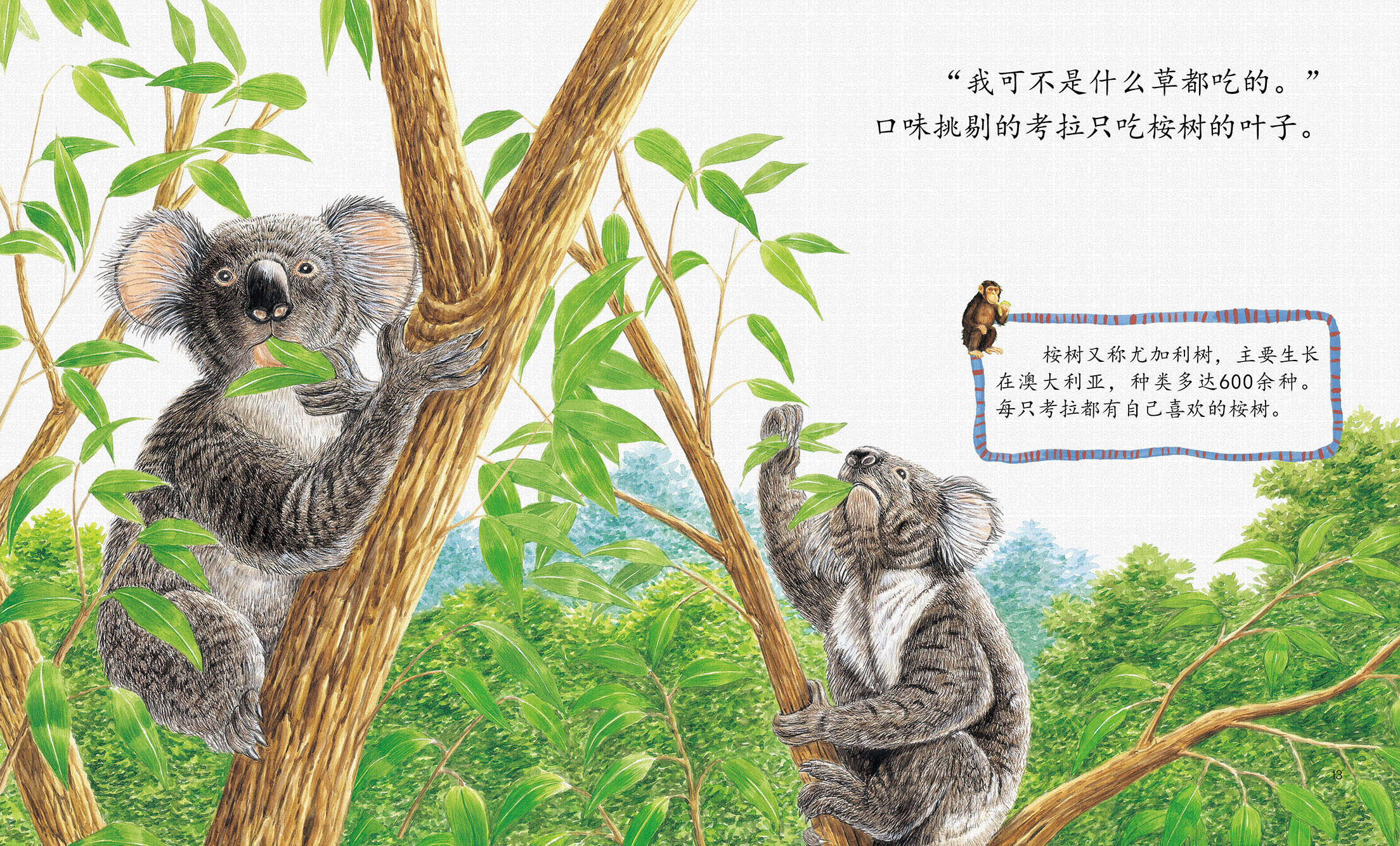 儿童绘本故事推荐《动物到底吃什么?》_版权