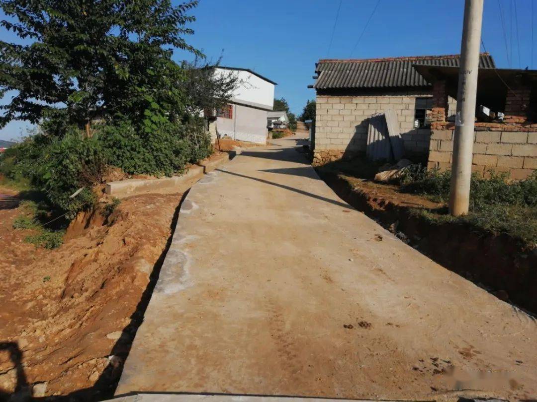 上海帮扶助南栅村蚕桑产业脱贫走出新丝路