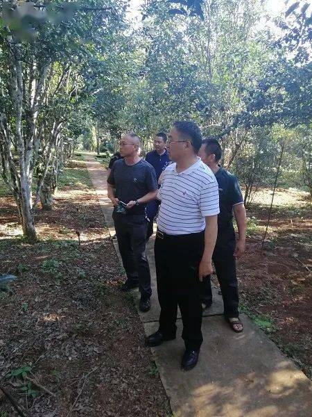 院党委副书记汪占毅到茶叶所调研